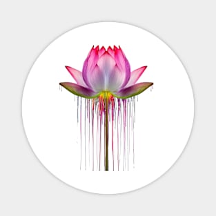 Colour Dripping Lotus Flower Magnet